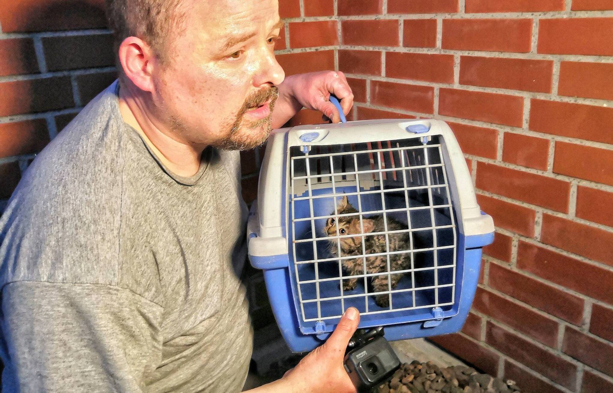Katzenbaby nach 5 Stunden aus Rohr gerettet