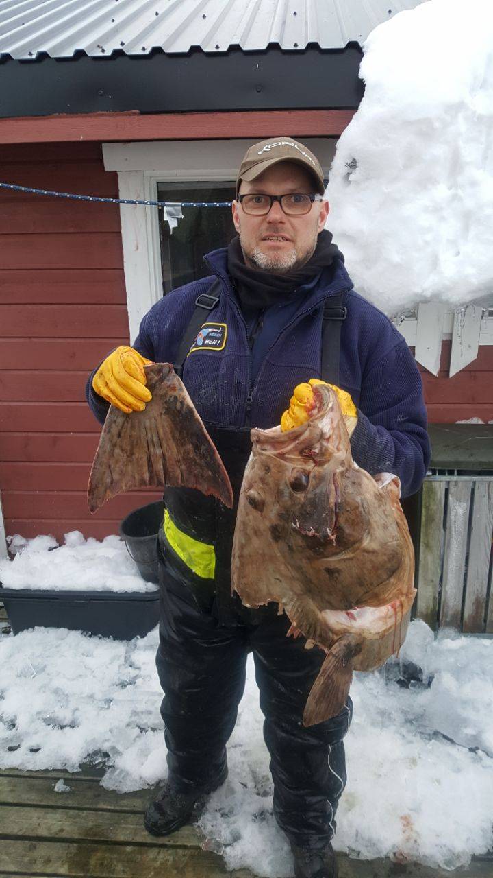 Auf Fischfang in den Fjorden