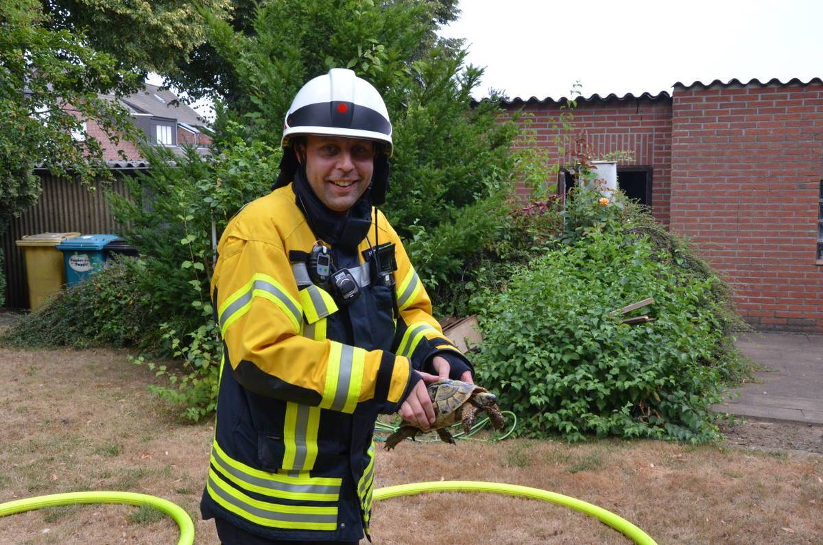 Feuerwehr rettet Schildkröten vor den Flammen