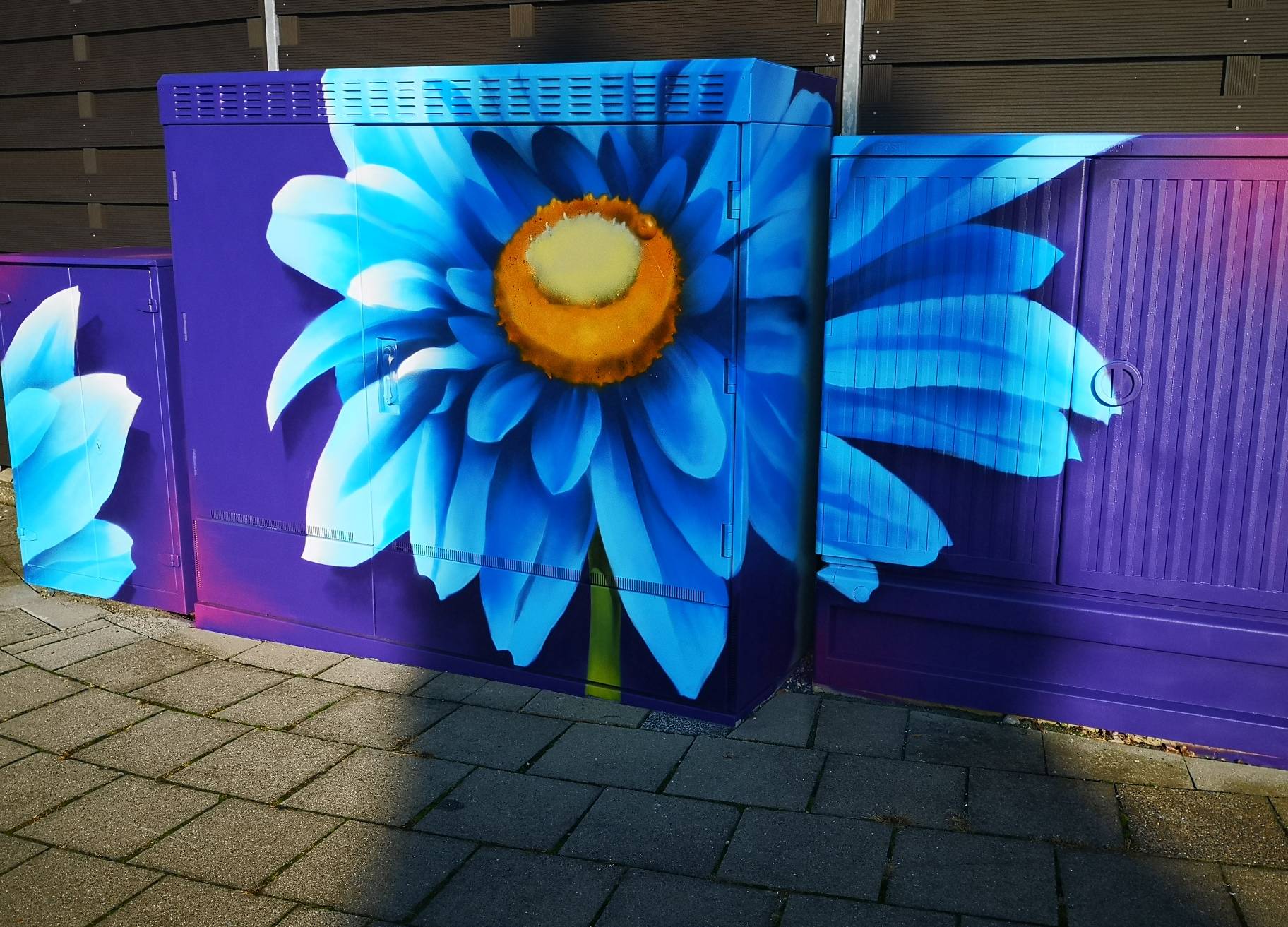 Die große, farbenfrohe Blume des Graffitikünstlers