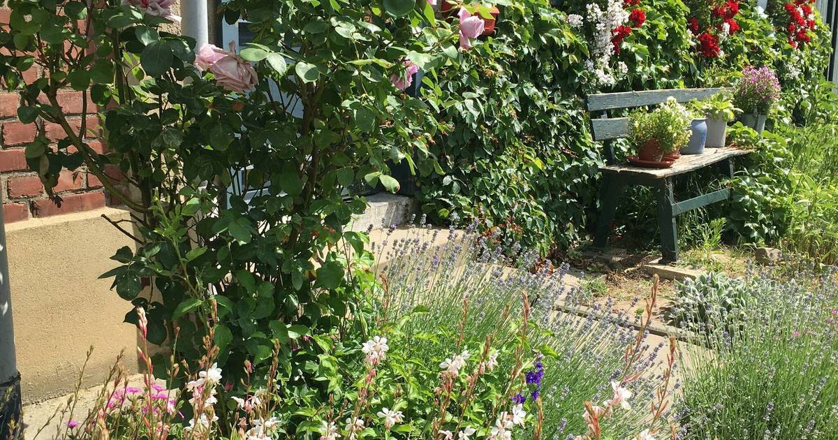 Für ein buntes Jüchen NABU sucht schönsten