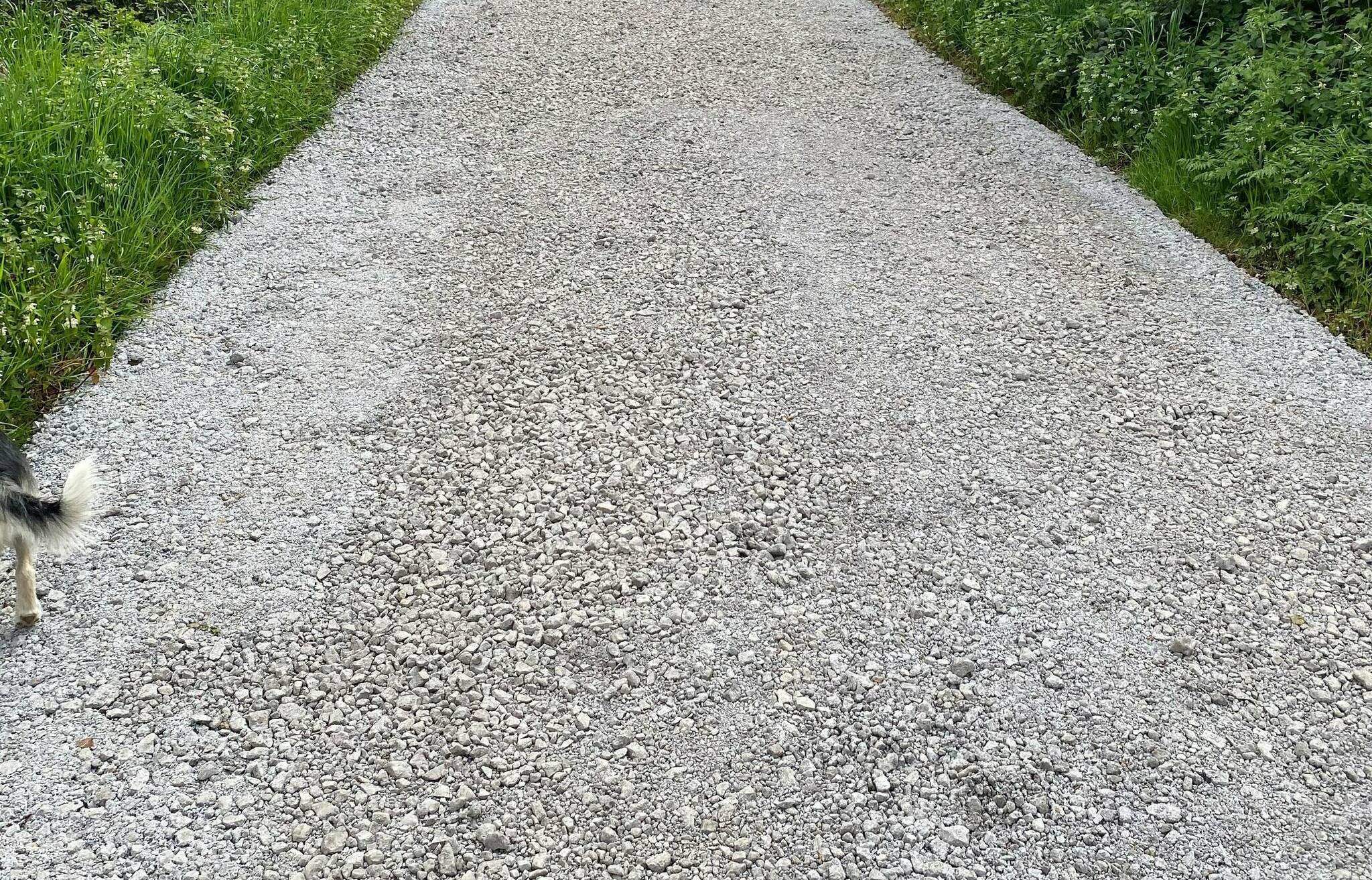  ... Für Hundepfoten sehr unangenehm, für Pferdehufe gänzlich ungeeignet und schmerzhaft und selbst zum Radfahren ziemlich blöd…der ,Schotterweg’ auf dem einst naturbelassenen und wunderschönen Bahndamm. Wunderschön für Wanderungen mit Hund oder auch ohne, Ausritte auf dem extra dafür angelegten Sandstreifen und selbst Radfahren war auf dem Bahndamm schön. Alles Geschichte.  Mir fehlen die Worte…“ 