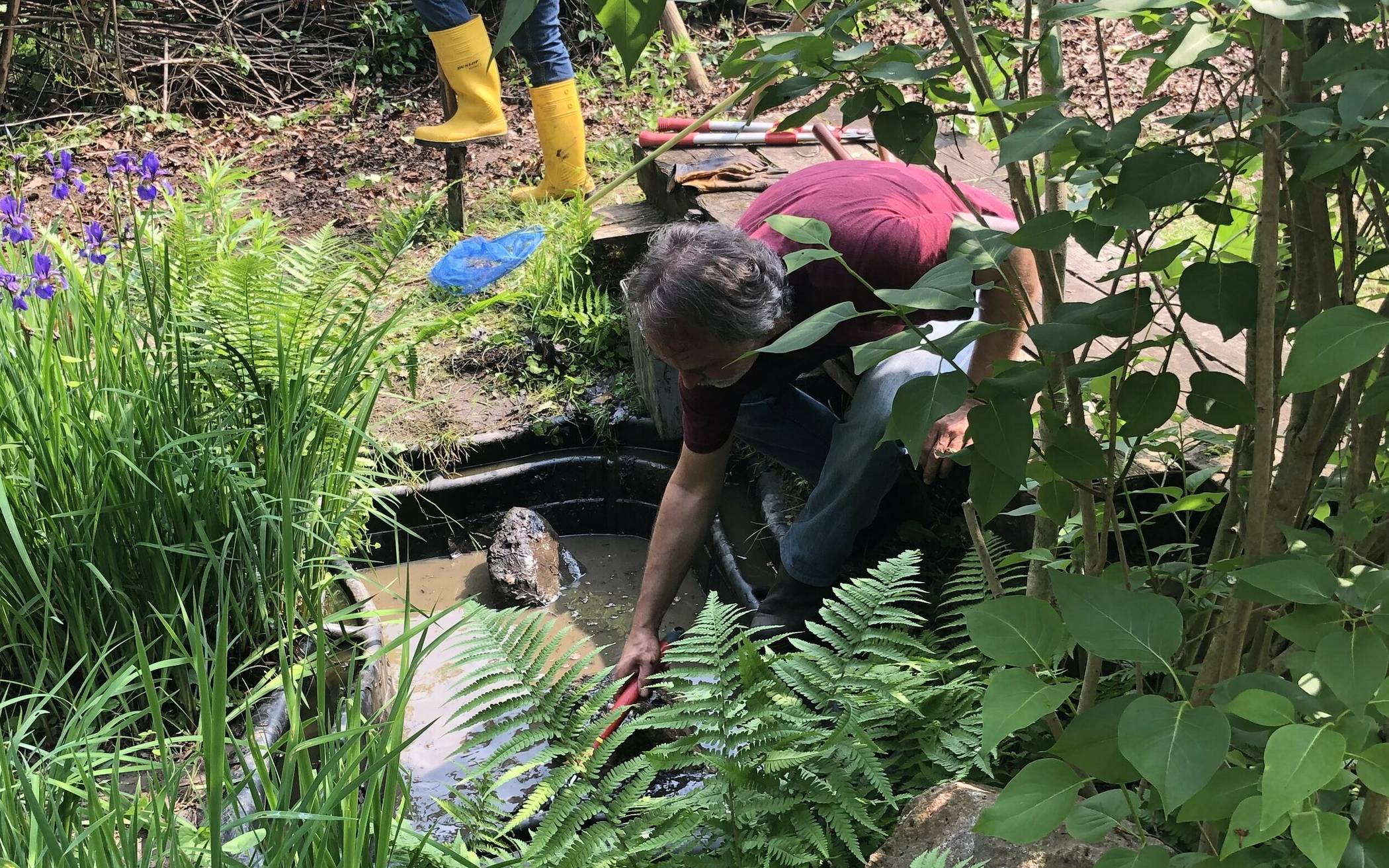  Und daran, den kleinen Teich zu entschlammen. 