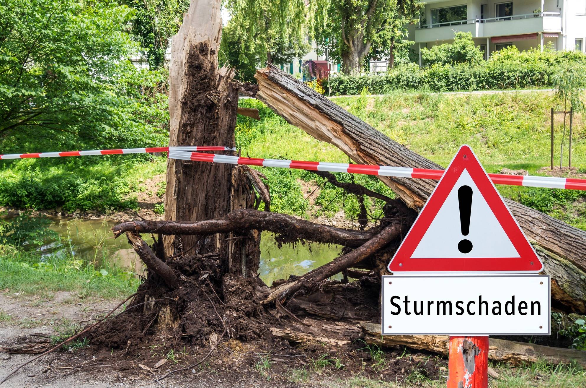 85 Sturmeinsätze am frühen Donnerstag