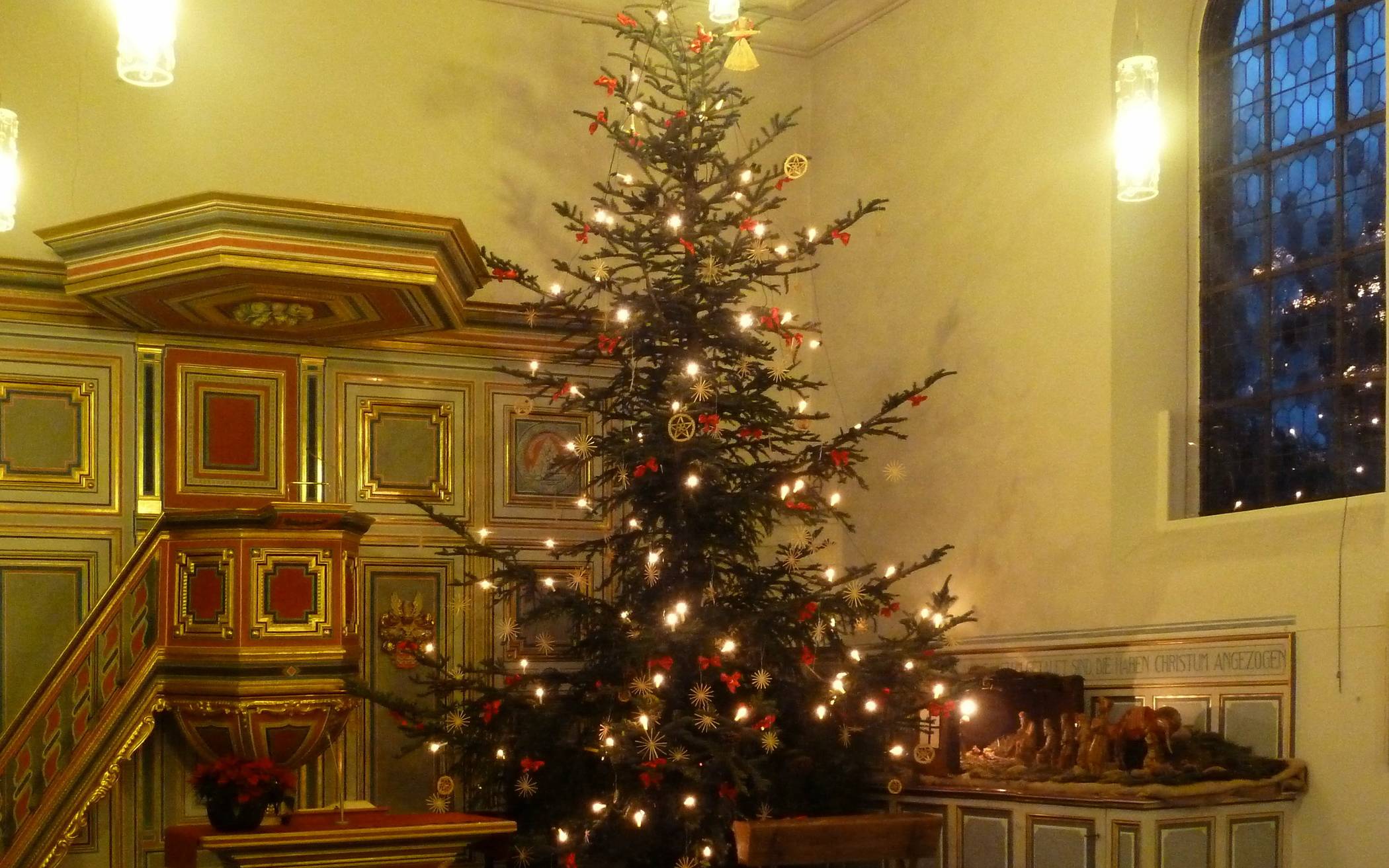  Auch in diesem Jahr wird in der Hofkirche wieder der Weihnachtsbaum erstrahlen.  