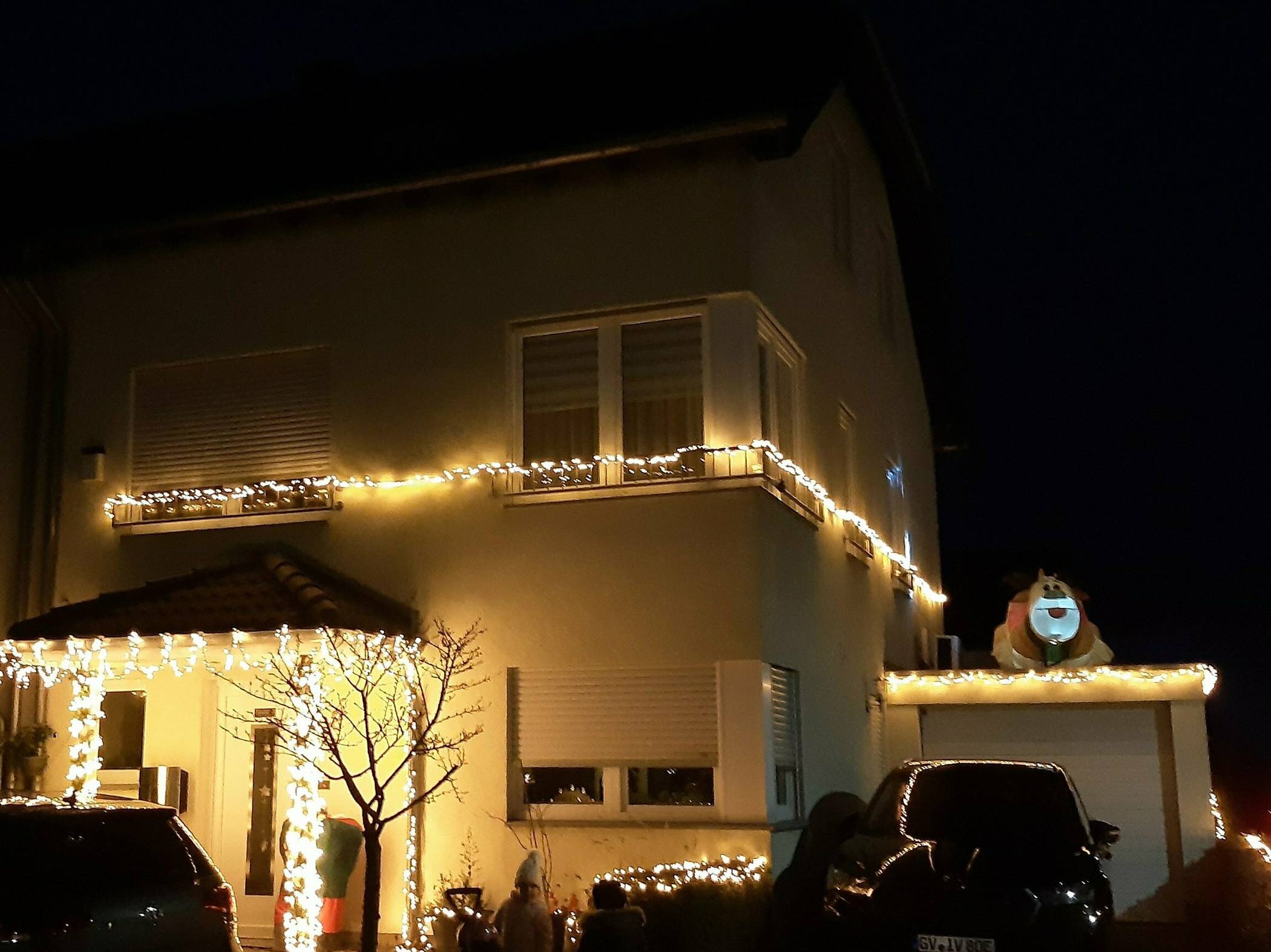  Immer mehr Nachbarn ziehen mit: Hier ziert zum Beispiel ein Rentier die Garage. 
