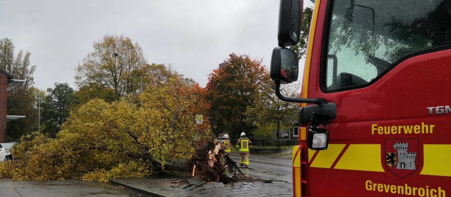 Die Unwetter- und Starkregenereignisse des vergangenen