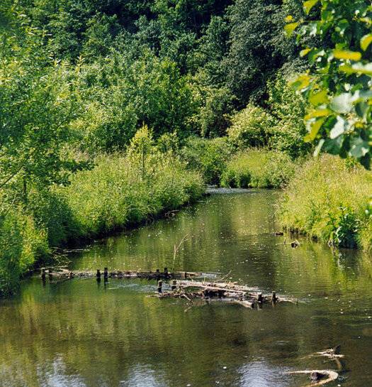 Wie viel Wasser braucht die Gillbach, um weiter munter fließen zu können?