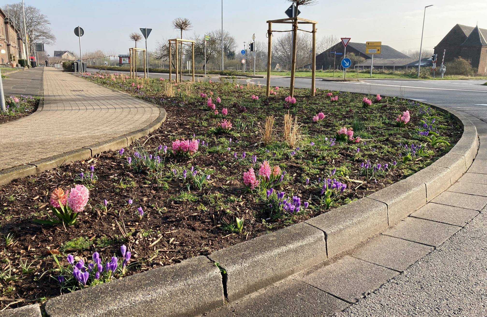  Stadtbetriebe pflanzen auf 370 Quadratmetern Stauden. 