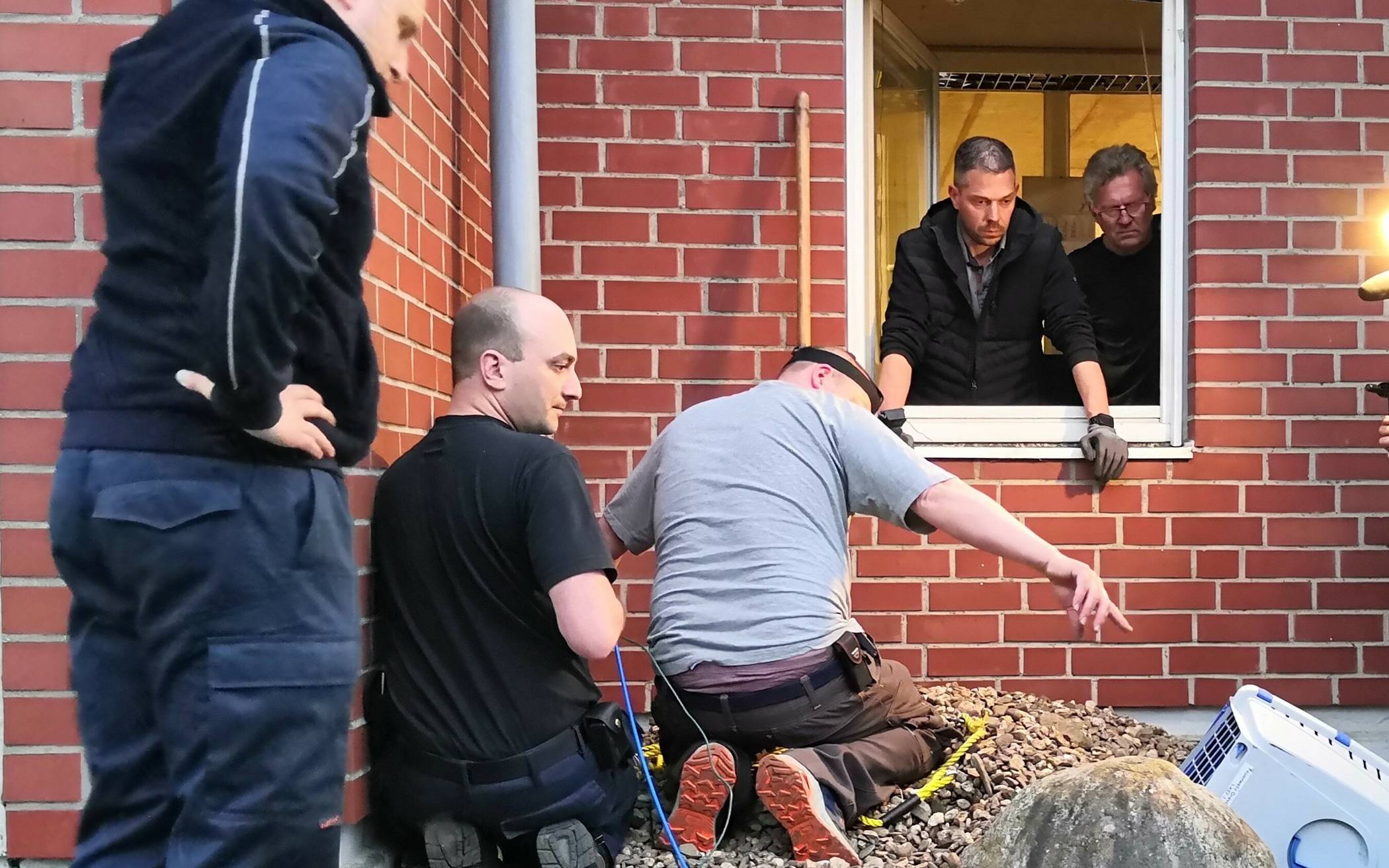 Rettungskräfte suchen in einem Regenabfluss suchen außerhalb der Lagerhalle nach dem Katzenbaby. 
