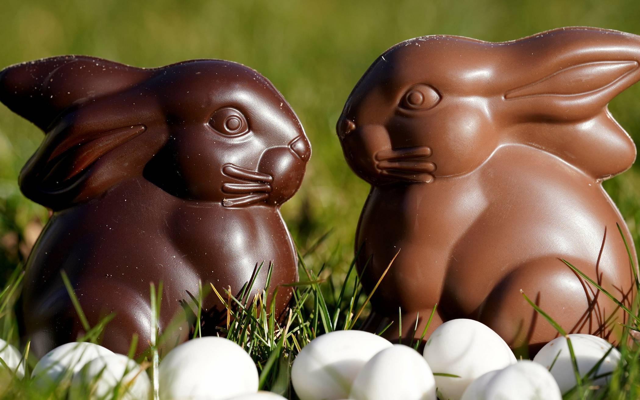   Der Schoko-Osterhase ist eine evangelische Erfindung. 