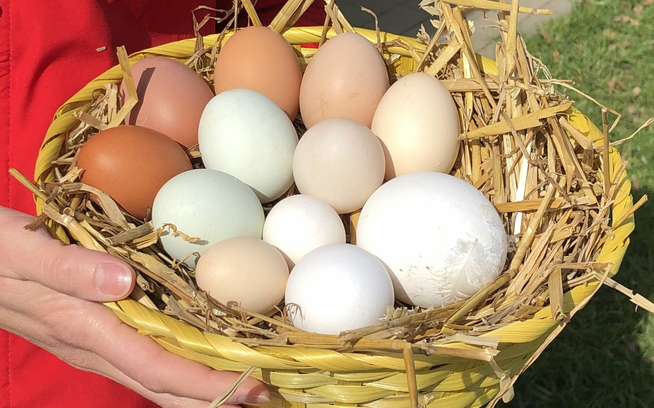 Warum der ewige Sommer auf die Knochen geht