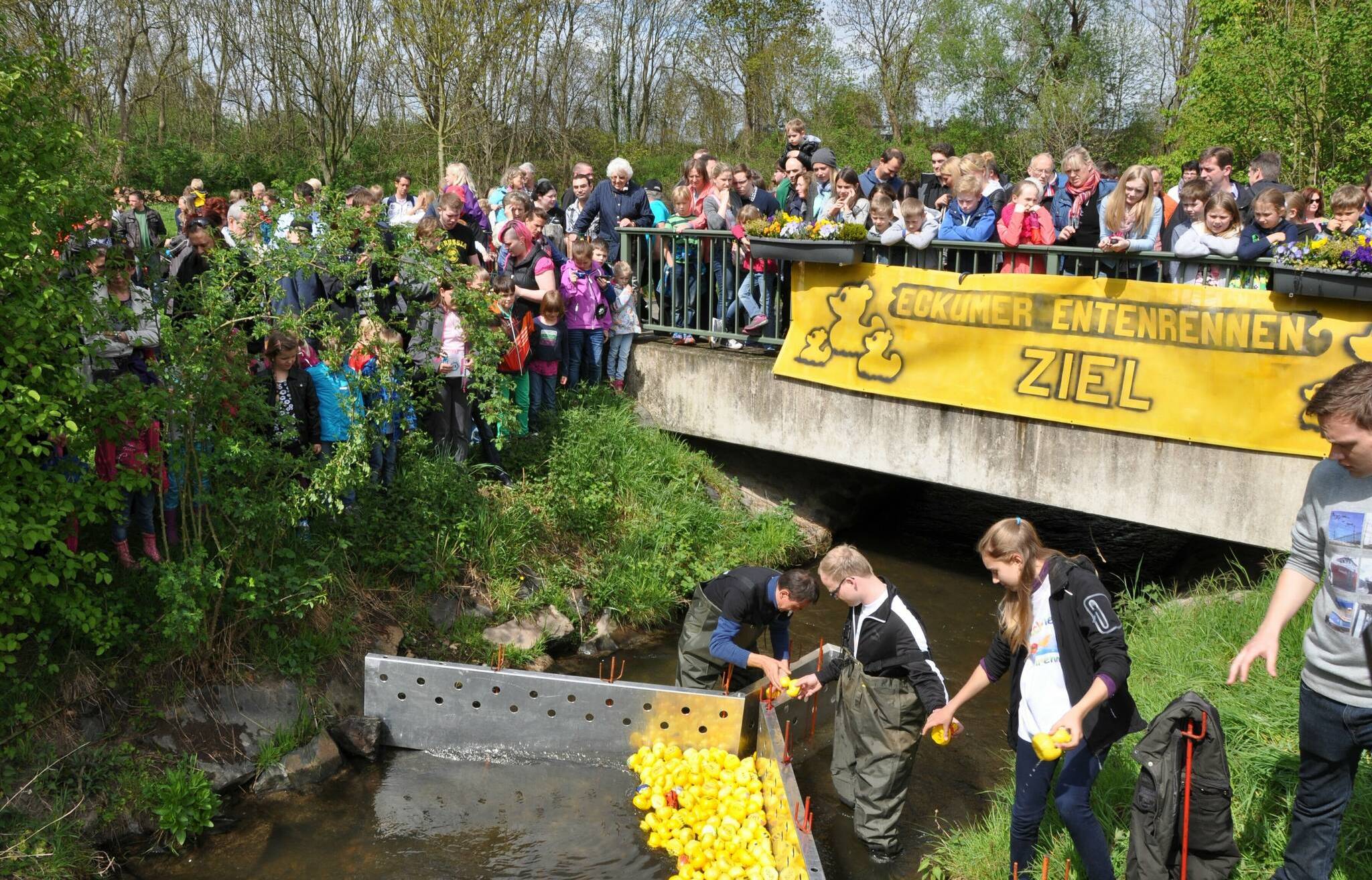 Die Enten dürfen wieder ins große Rennen geschickt werden