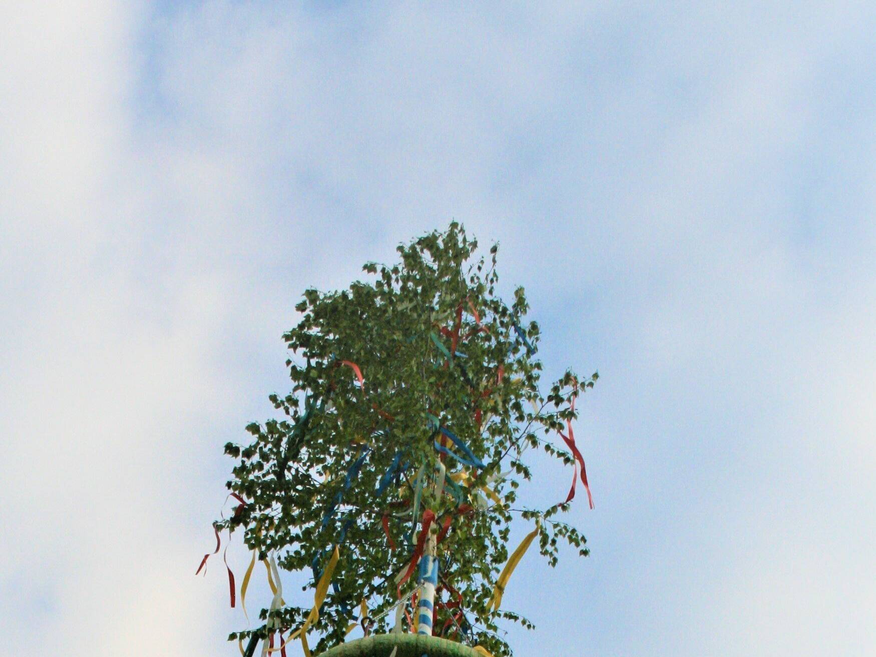 Endlich soll der Maibaum wieder gesetzt