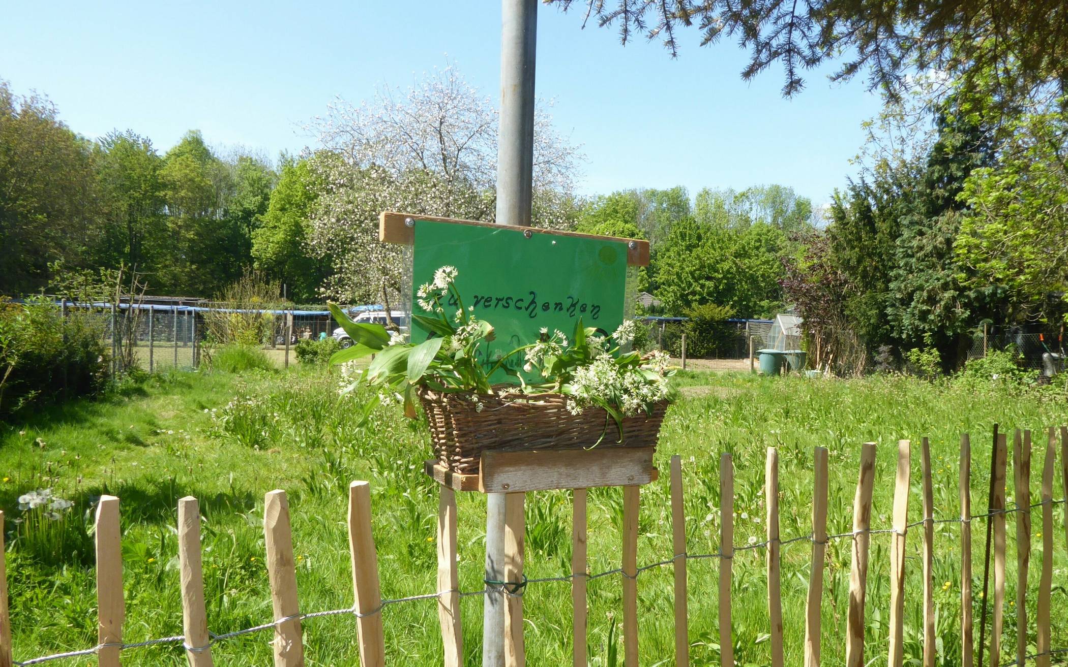 Bärlauch BUND Jüchen