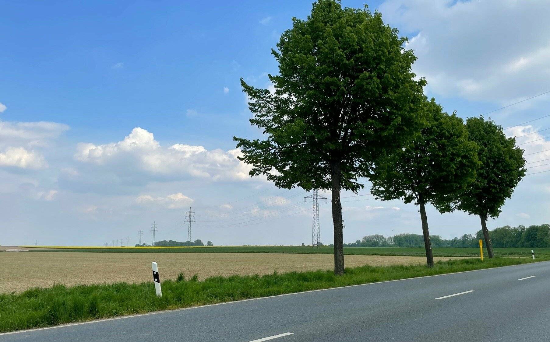 Gewerbegebiet  Schaan Frühling