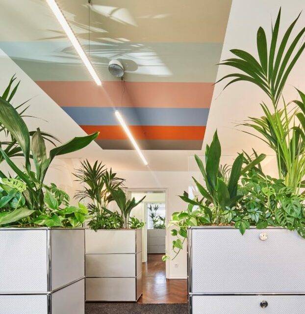  Im neuen Bürgerbüro sollen Palmen aus den Büroschränken wachsen... Aloha! 