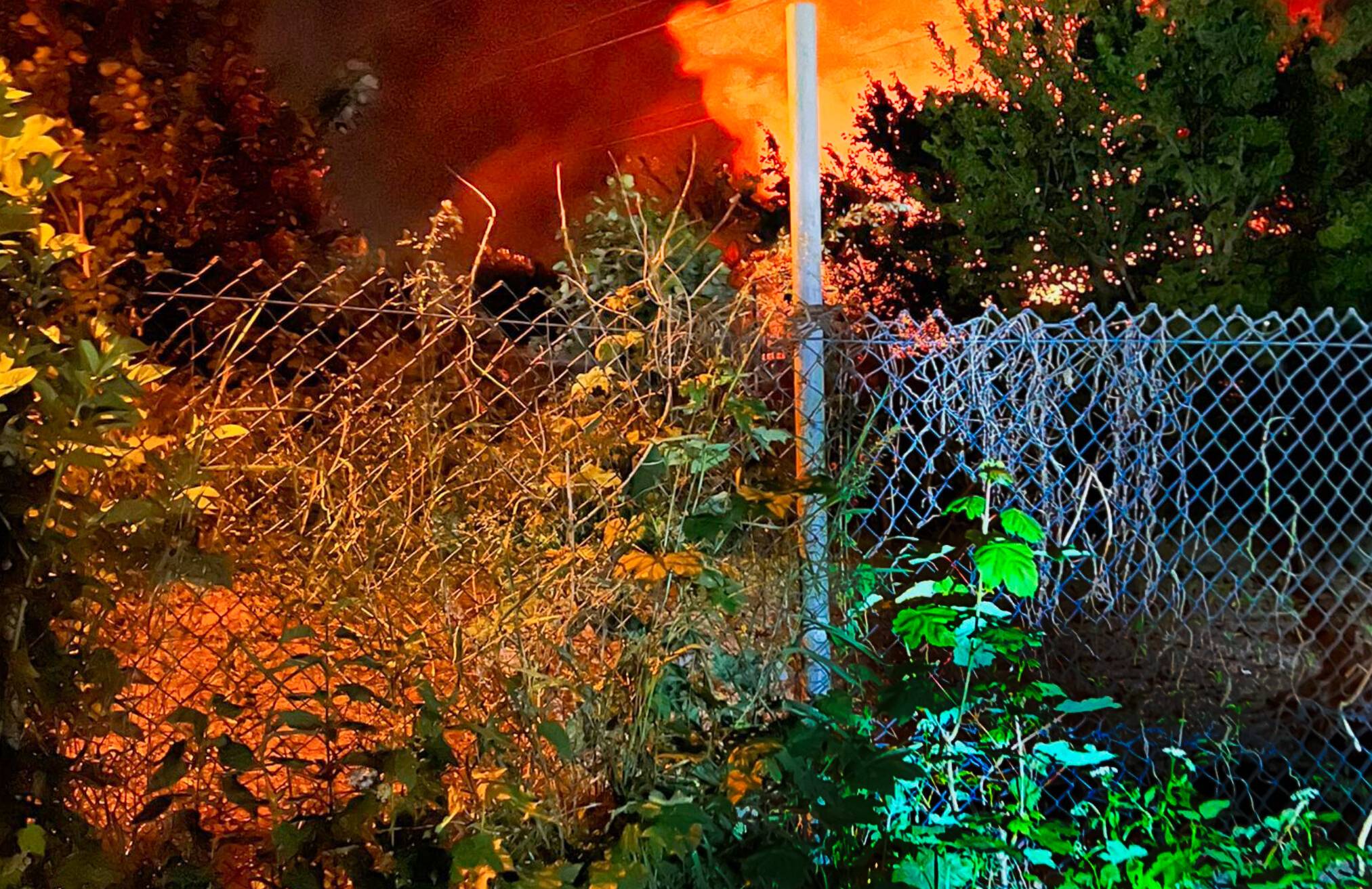 Feuerwehr rettet 30 Vögel bei Brand einer Gartenlaube