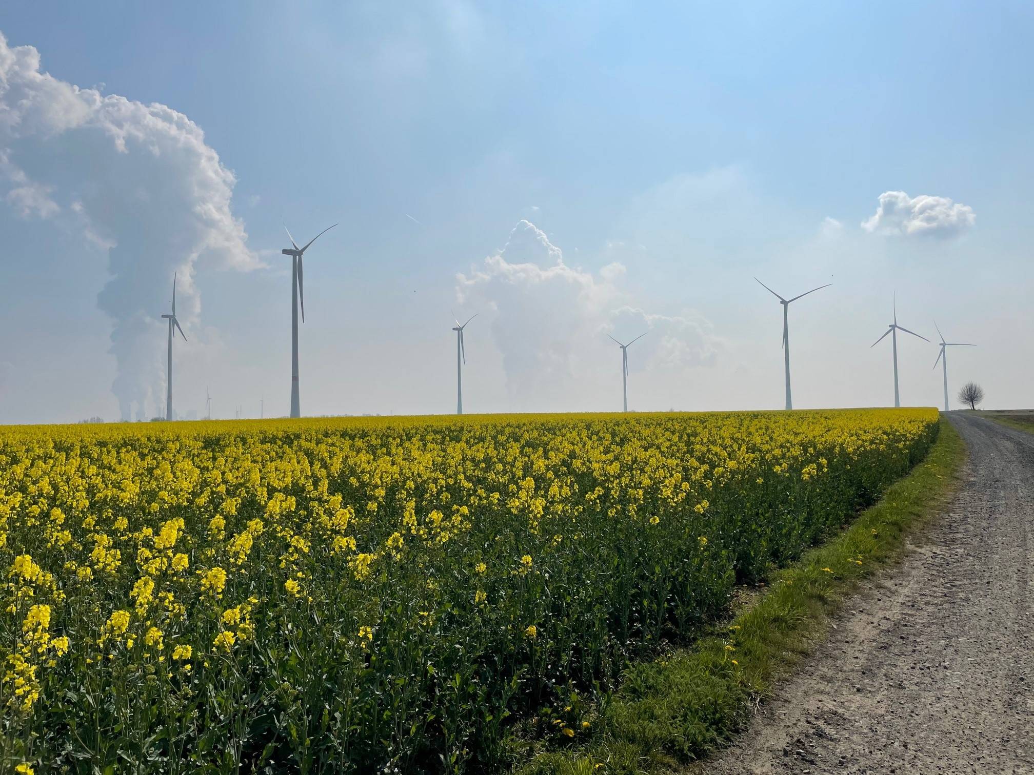  Zu den wichtigsten Themen zählt unter anderem der Ausbau von Windkraft-Anlagen wie hier auf der Königshovener Höhe. 