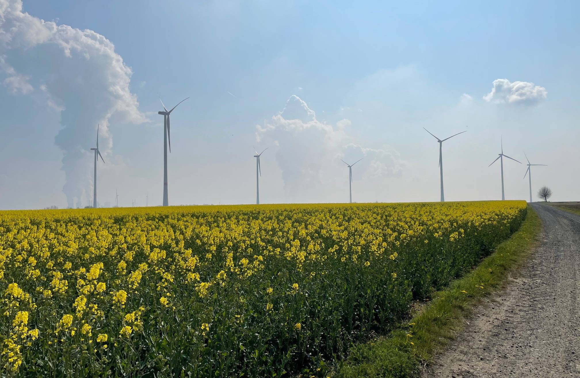  Zu den wichtigsten Themen zählt unter anderem der Ausbau von Windkraft-Anlagen wie hier auf der Königshovener Höhe. 