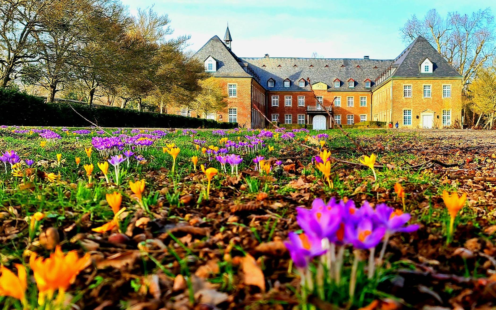 Mit dem Foto „Frühlingserwachen“ gehörte Julia