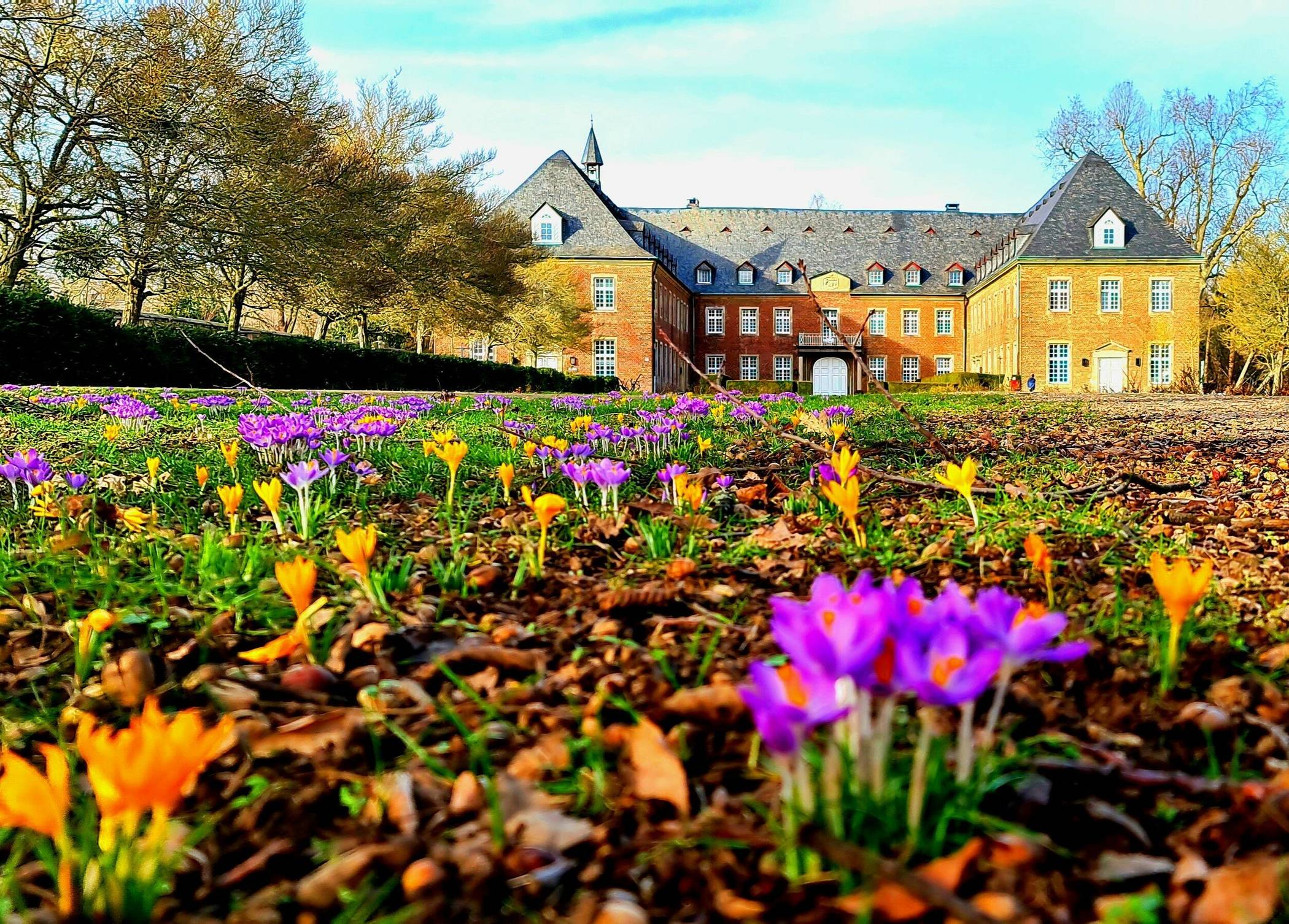  Mit dem Foto „Frühlingserwachen“ gehörte Julia Kiefer zu den Gewinnern des Fotowettbewerbs 2021. 