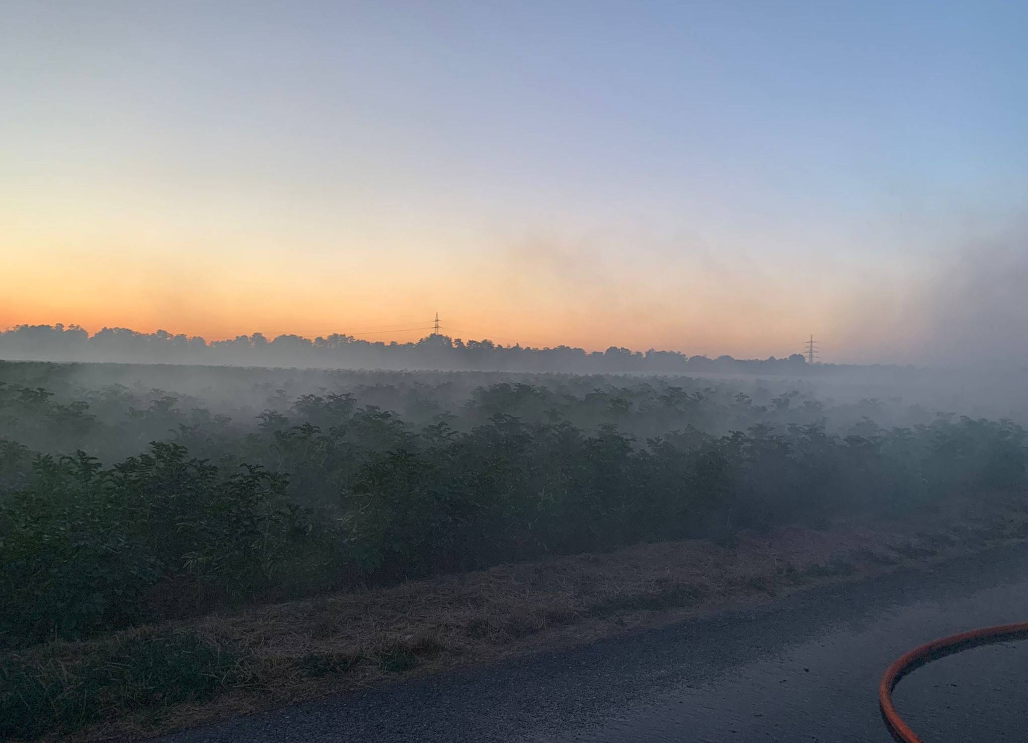 Nach ausgedehntem Heckenbrand: Ein Verletzter
