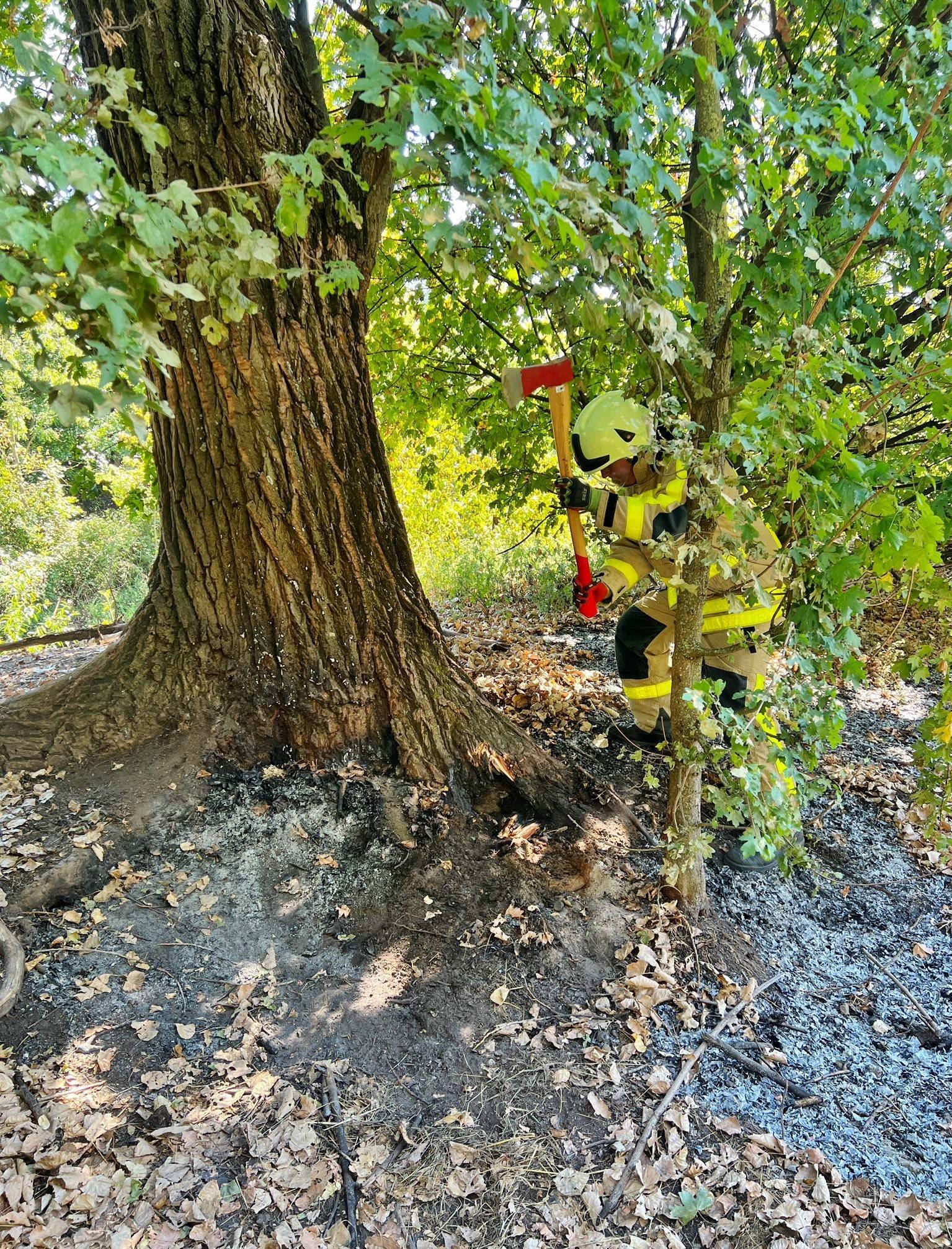 Die Feuerwehr rief ein Förster zur Hilfe. 
