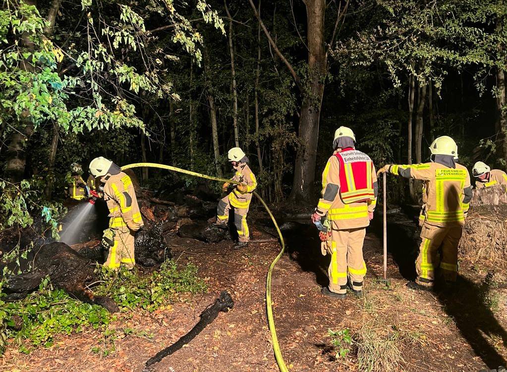 Größerer Waldbrand durch schnelles Eingreifen der Feuerwehr verhindert