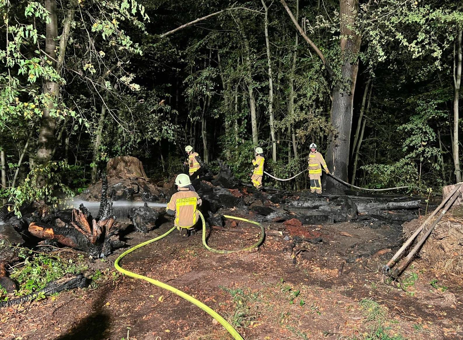 Größerer Waldbrand durch schnelles Eingreifen der Feuerwehr verhindert