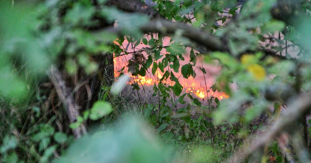 Rund 7600 Quadratmeter Gestrüpp bei Grevenbroich in Flammen Rund 7600 Quadratmeter Gestrüpp bei Grevenbroich in Flammen