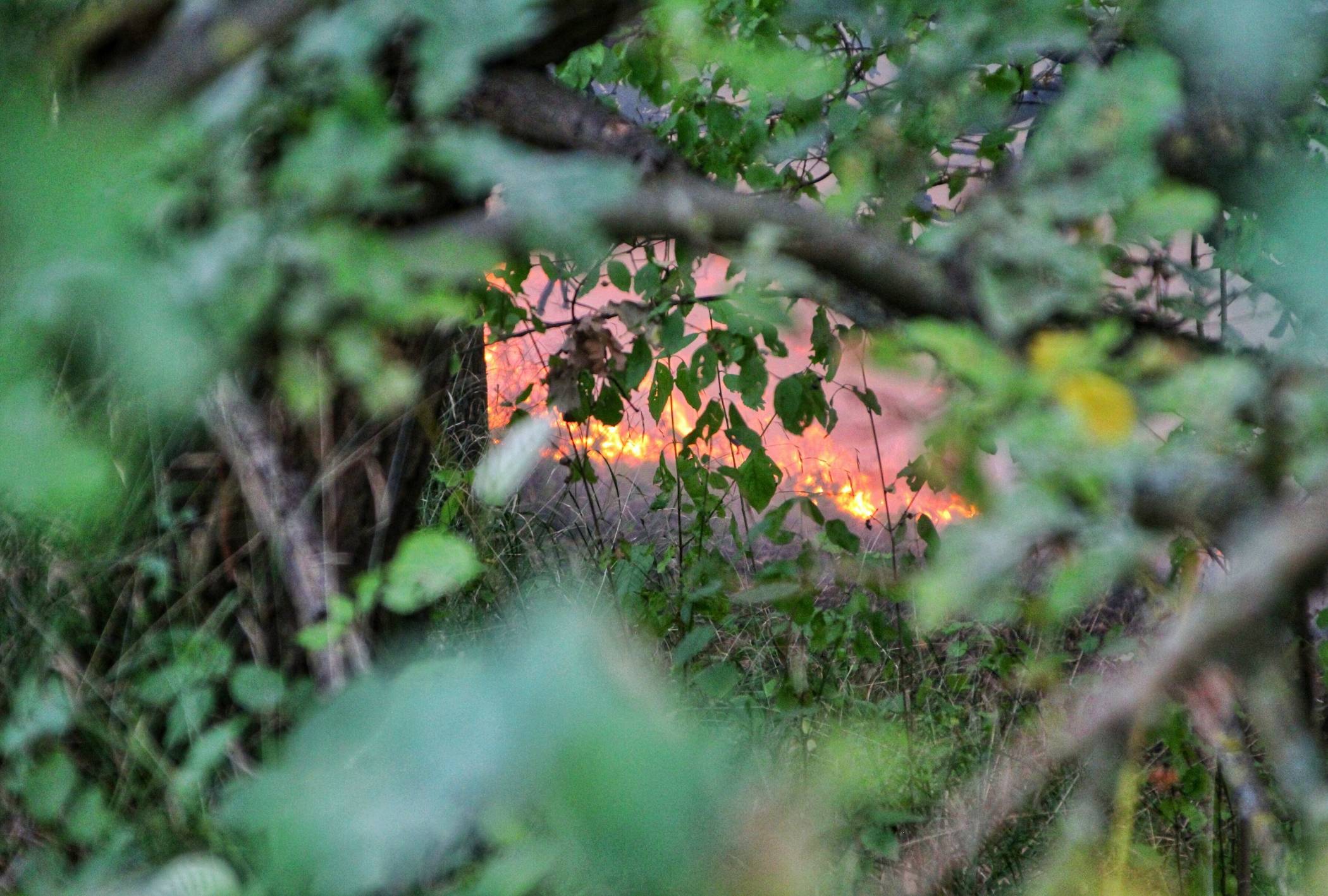  Rund 7600 Quadratmeter Gestrüpp und Wald bei Grevenbroich in Flammen. 