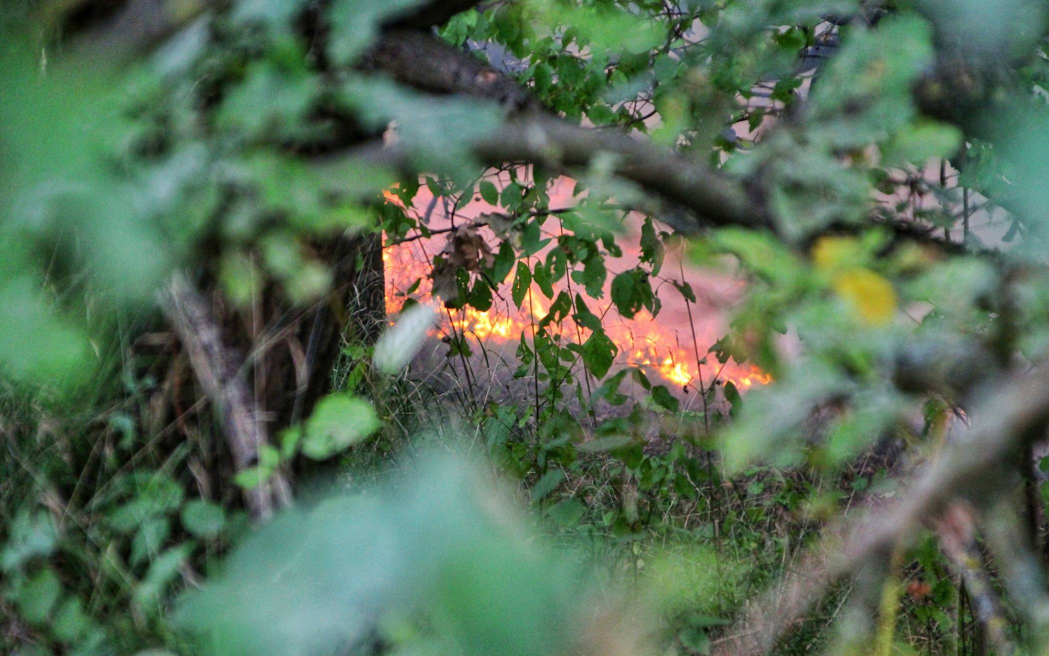  Rund 7600 Quadratmeter Gestrüpp und Wald bei Grevenbroich in Flammen. 