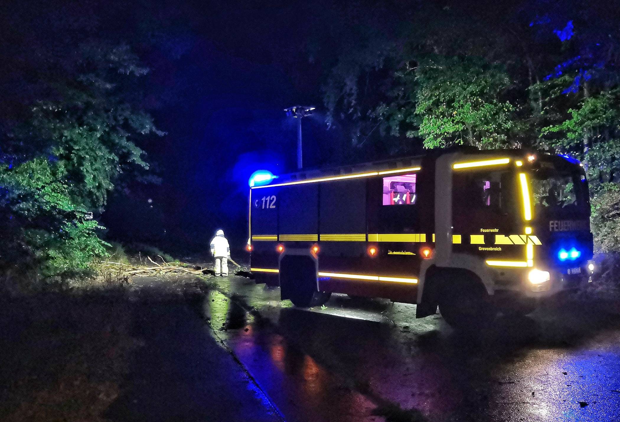  Bei Vierwinden lag dieser Baum auf der Fahrbahn.  