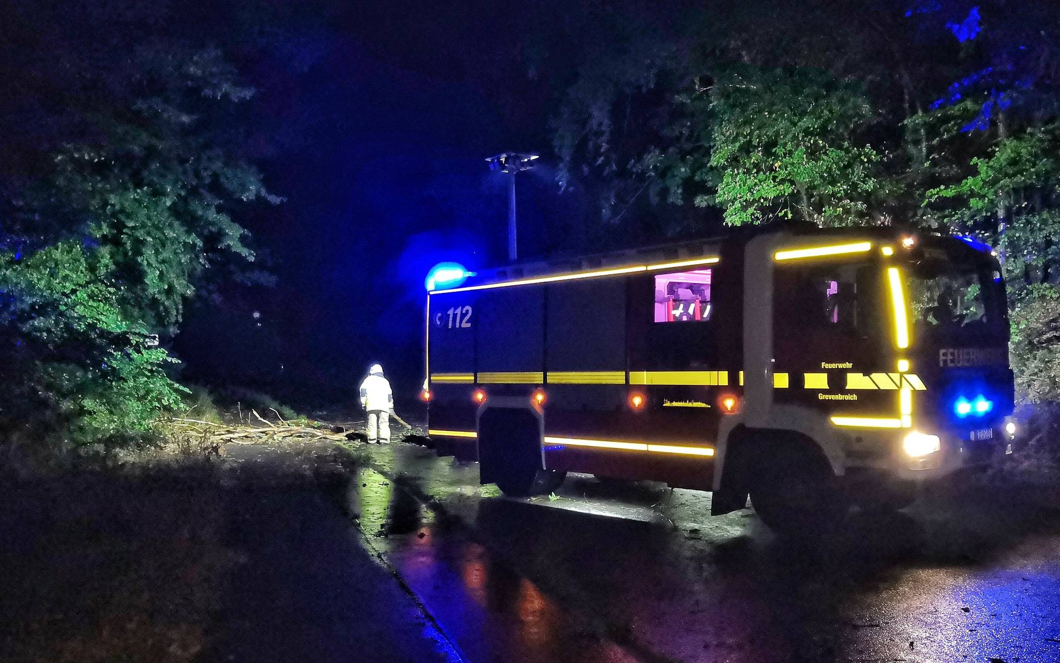 Bei Vierwinden lag dieser Baum auf