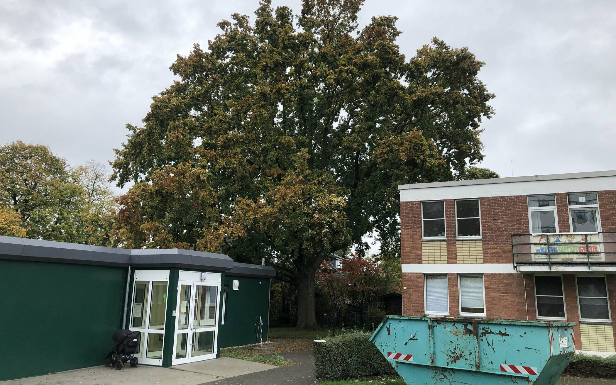  Der Baum durfte stehenbleiben. Rechts der Alt- und links der Neubau.  