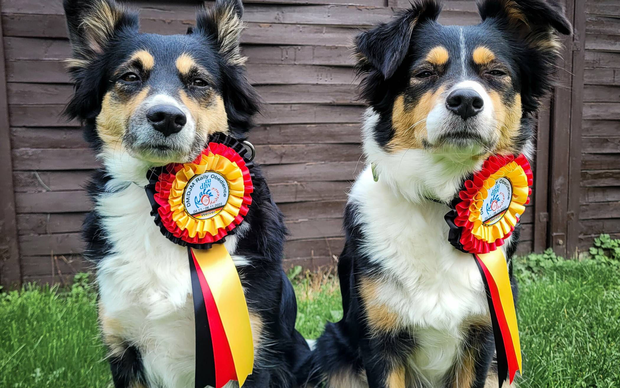 Nina Koch mit ihren Vierbeinern erfolgreich im Rally Obedience-Wettbewerb