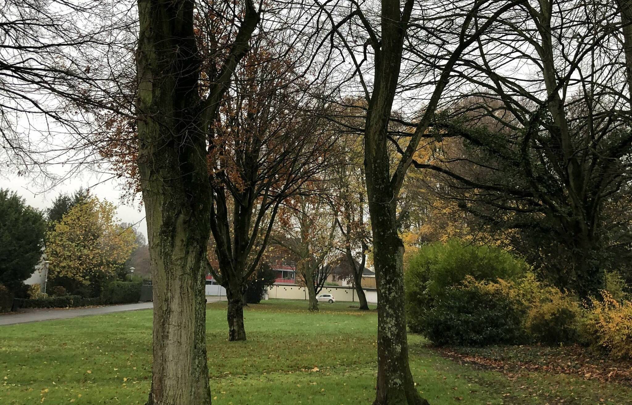 Droht gnadenlose „Rodung im Herzen Hemmerdens“