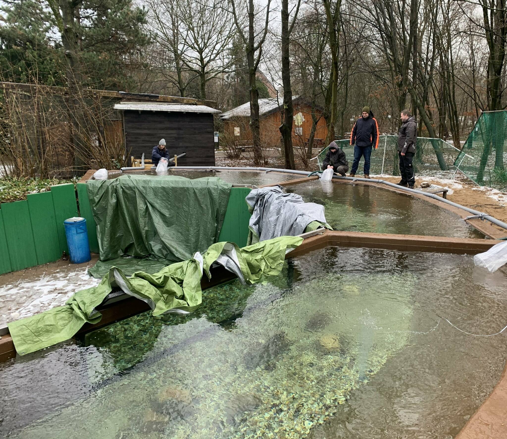 Neue Fische für sanierte Aquarien am Schneckenhaus