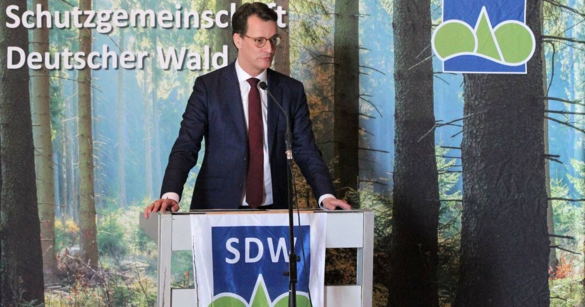 75 Jahre Schutzgemeinschaft Deutscher Wald