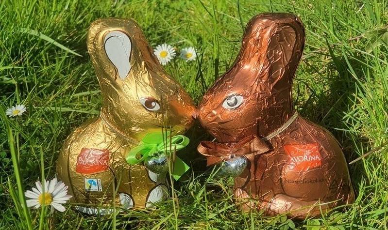 Fair und nachhaltig: Schoko-Osterhasen mit dem Fairtrade-Siegel.
