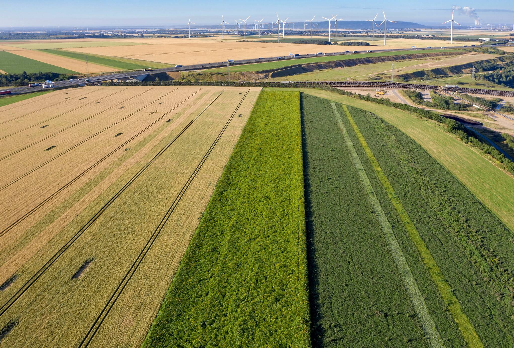  Landwirtschaftliche Rekultivierung bei Garzweiler. 