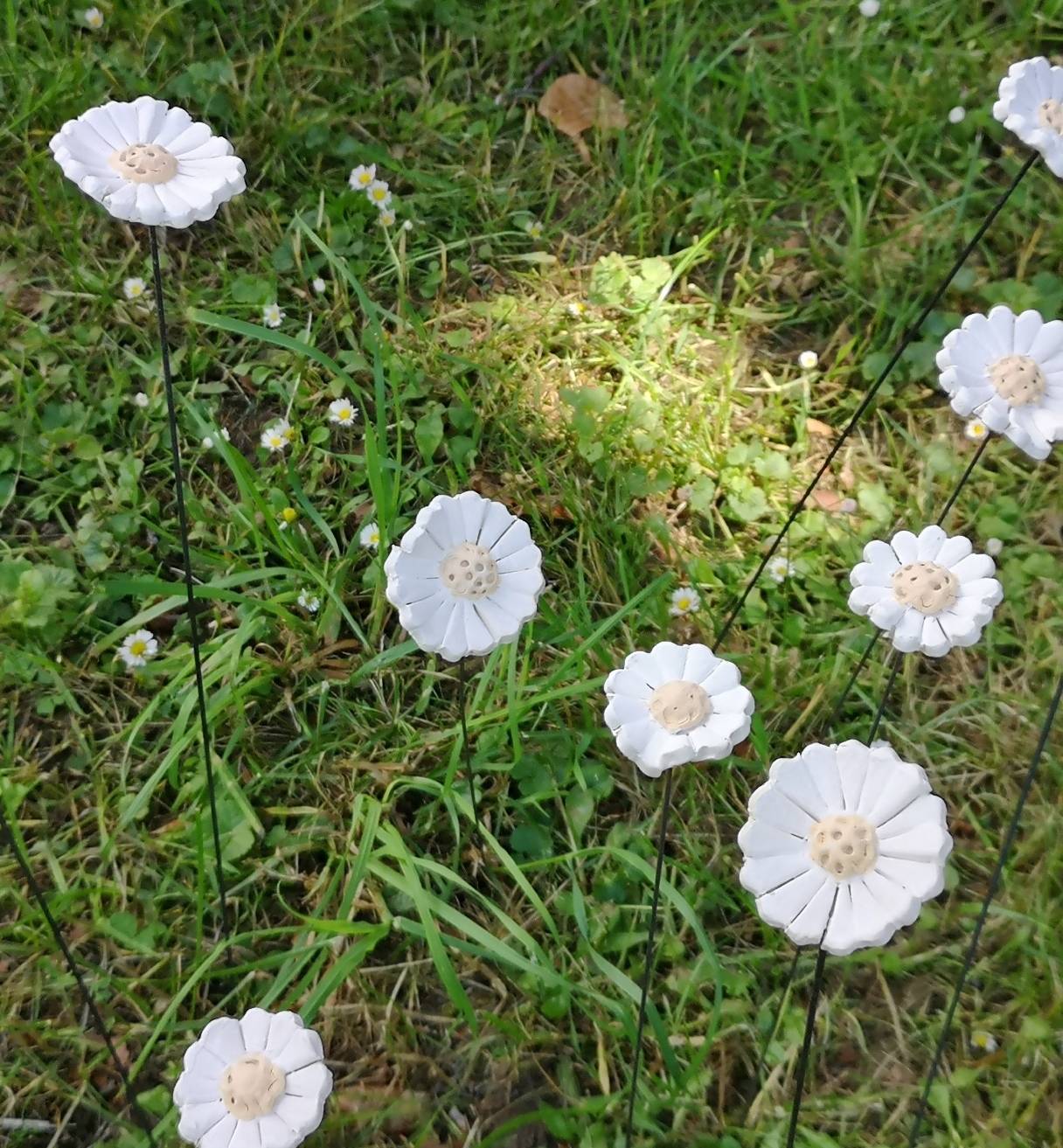  ... mal in praller Natur (oben) und mal in Keramik (Passioflora). 