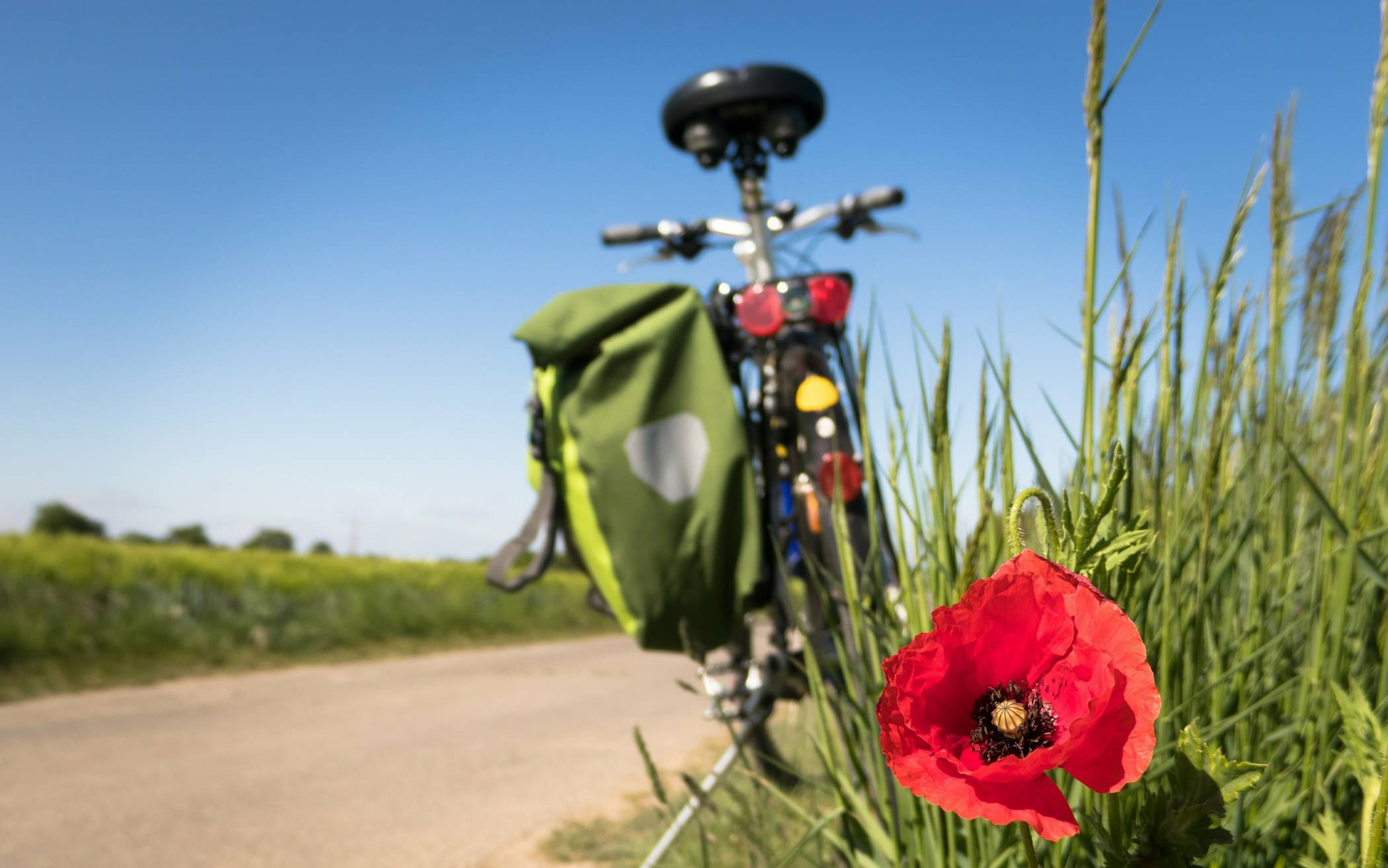 Beim Niederrheinischen Radwandertag gemütlich die Region erkunden