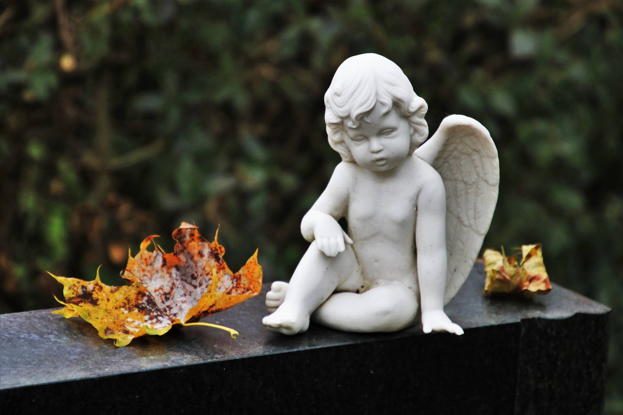 Jüchen: Memoriam-Garten​ auf Friedhof Garzweiler