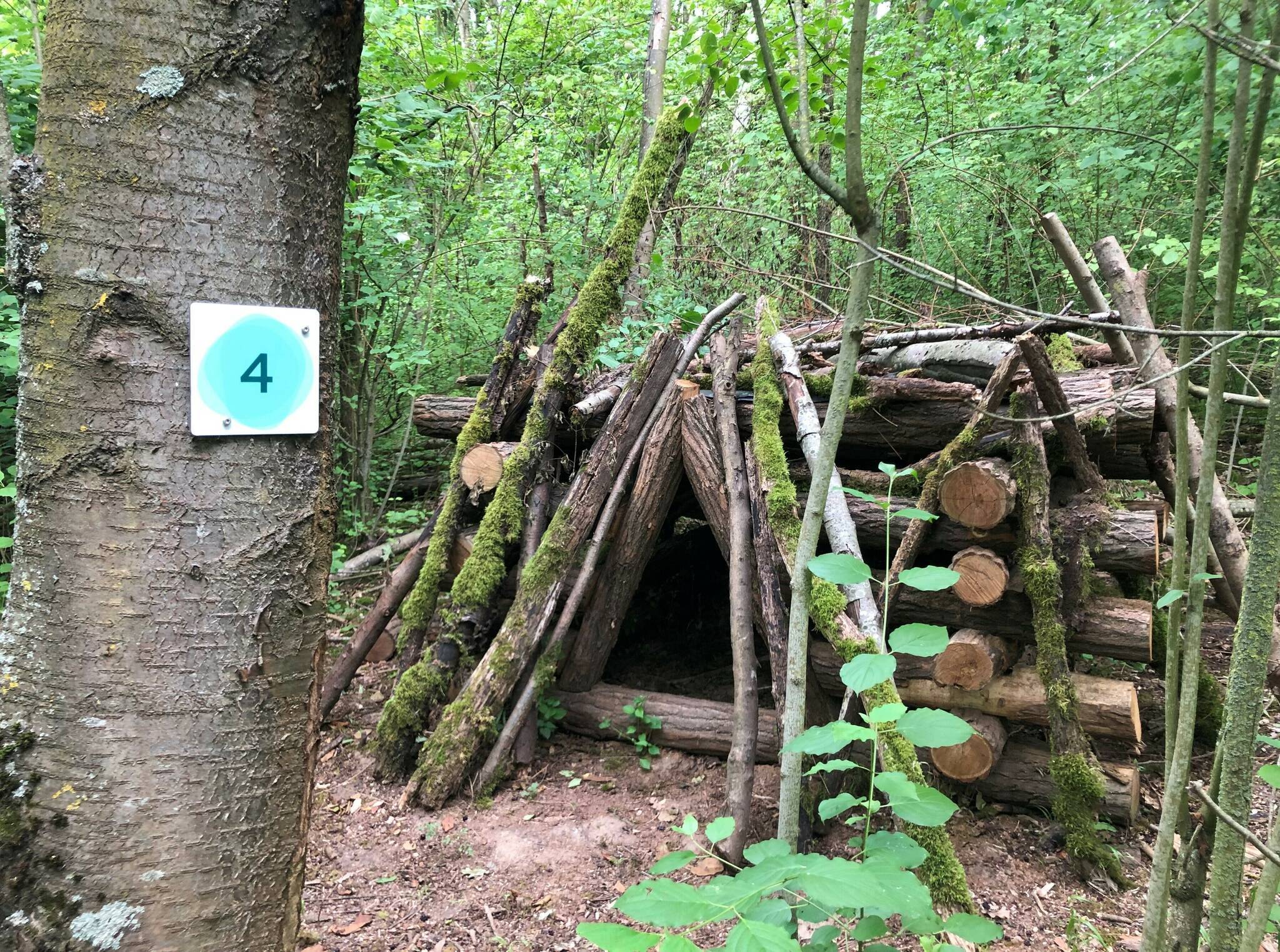  Begehbarer Totholzkasten auf dem Naturerlebnispfad Elsbachsteig. 
