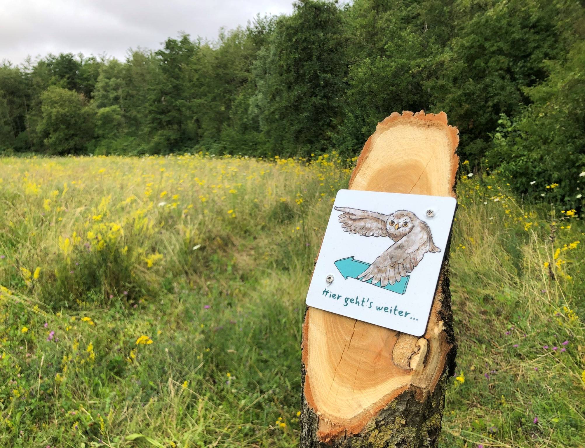  Wegweiser markieren den Naturerlebnispfad. 