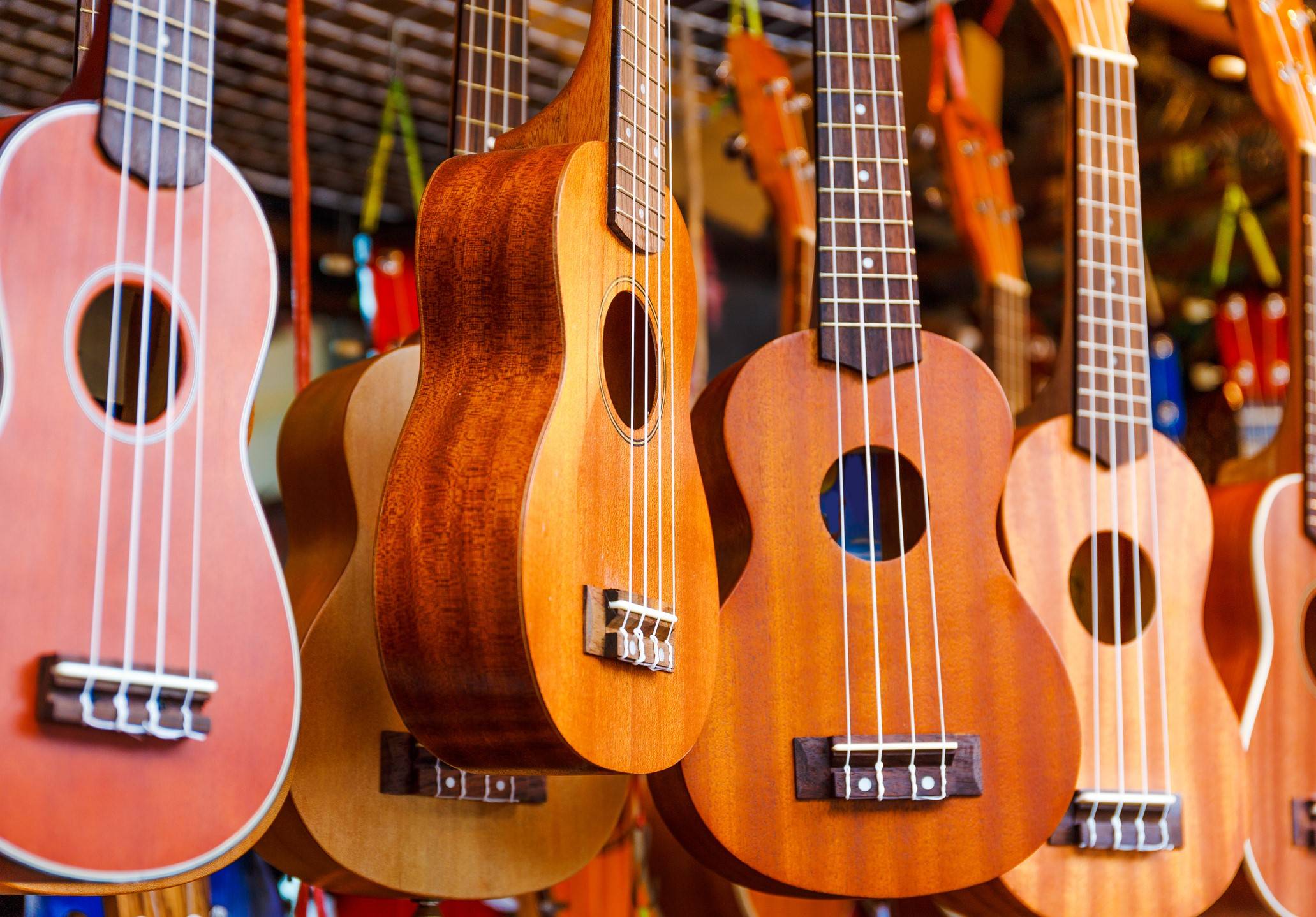  Die Musikschule Rhein-Kreis bietet jetzt Ukulele-Unterricht an. 