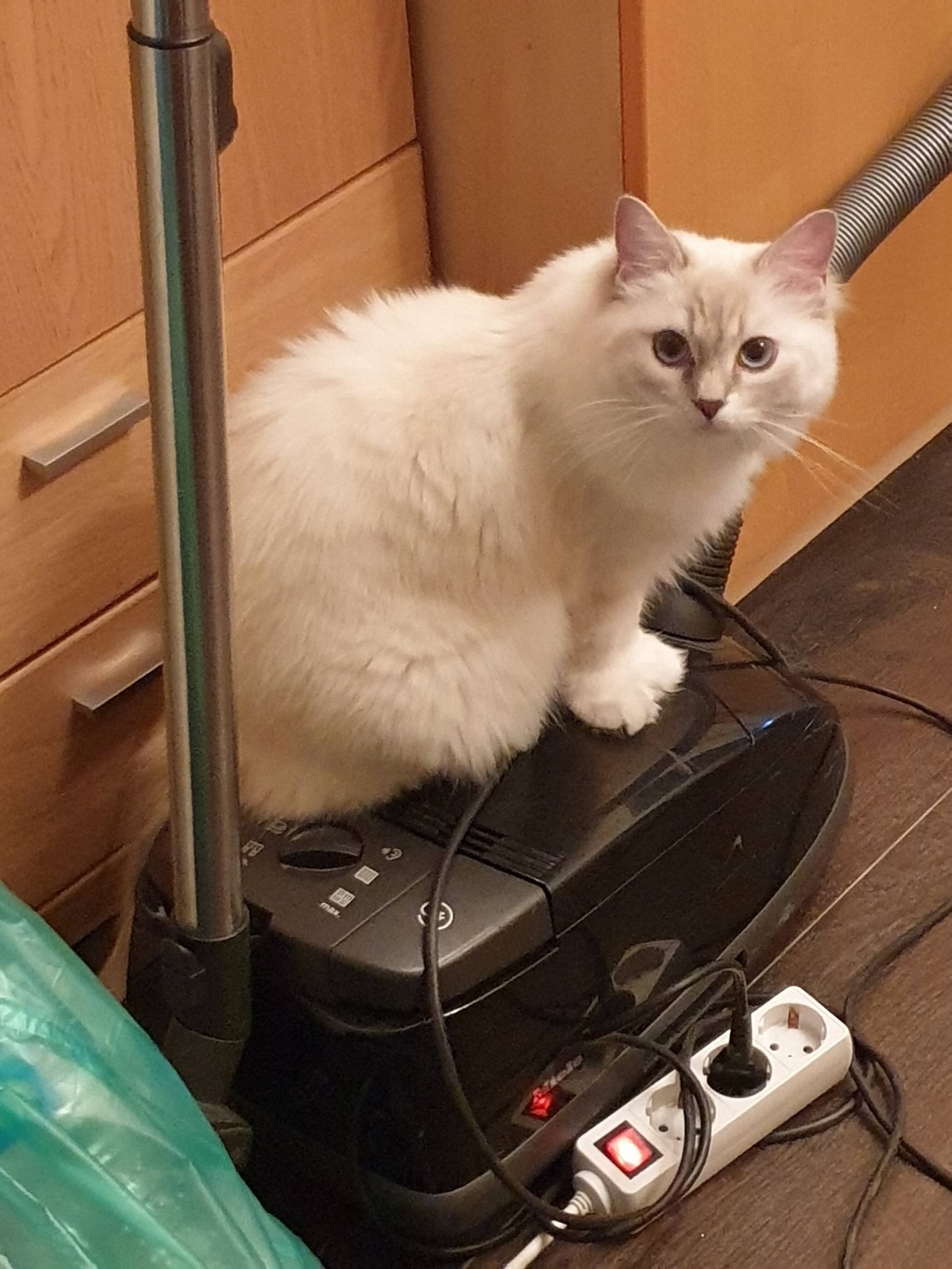 Molly auf dem...