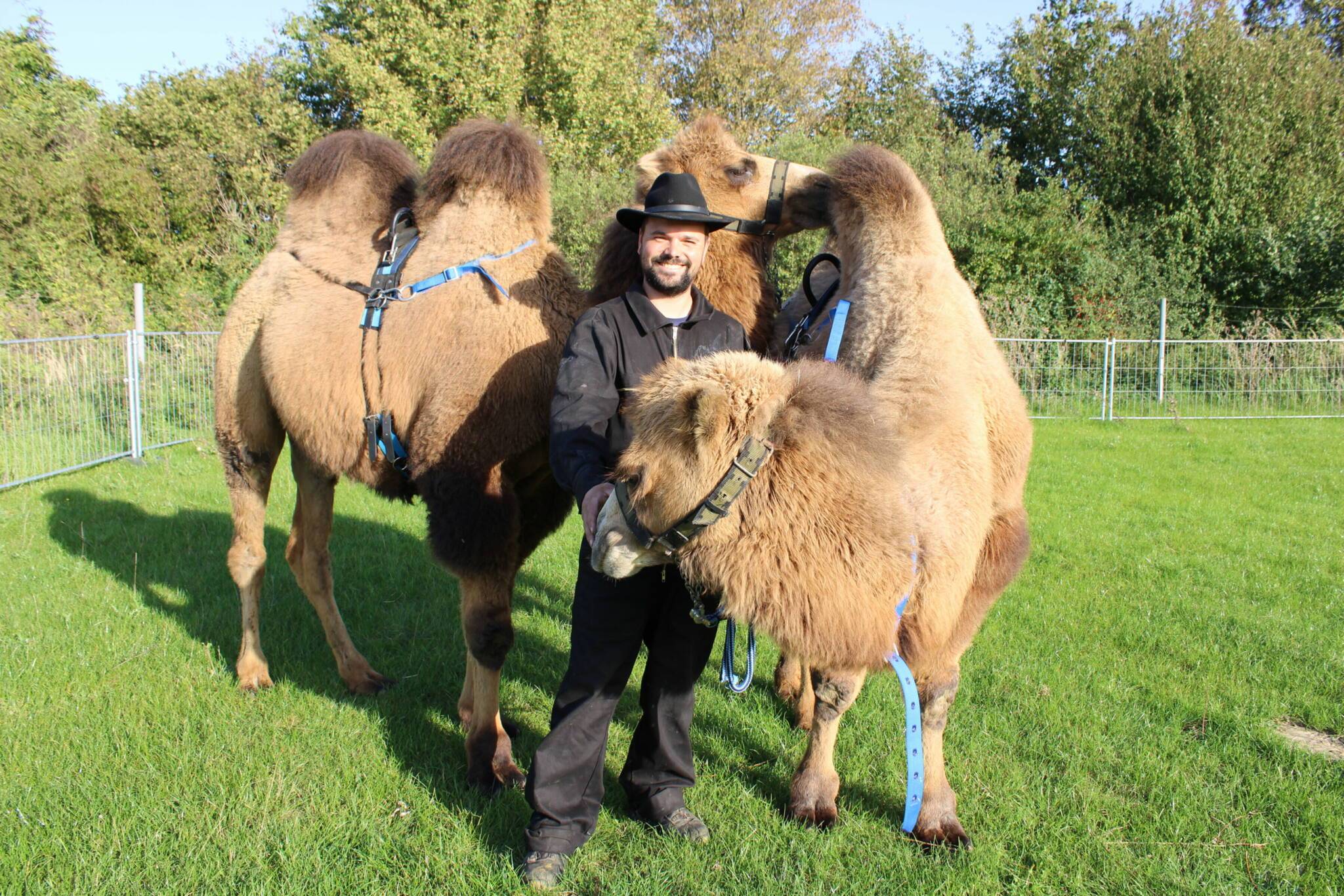 Marvin Schumacher erfüllte sich den Traum einer Kamelfarm: „Jenges“ und „Faruk“ sind die neuen „Mitbewohner“.   